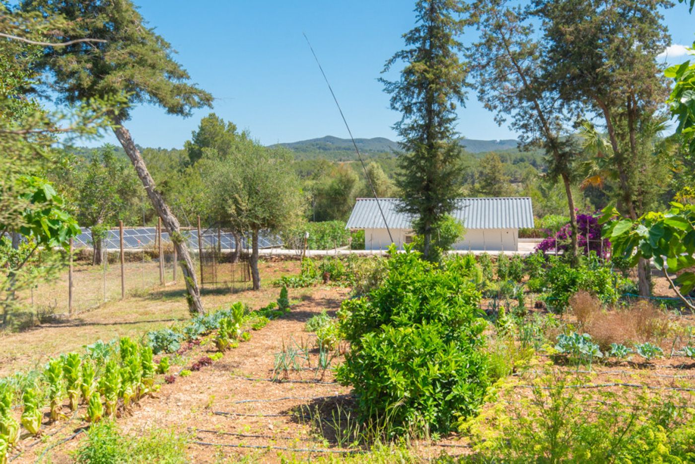 Villa de lujo cerca de Ibiza, con licencia turística y exteriores espectaculares